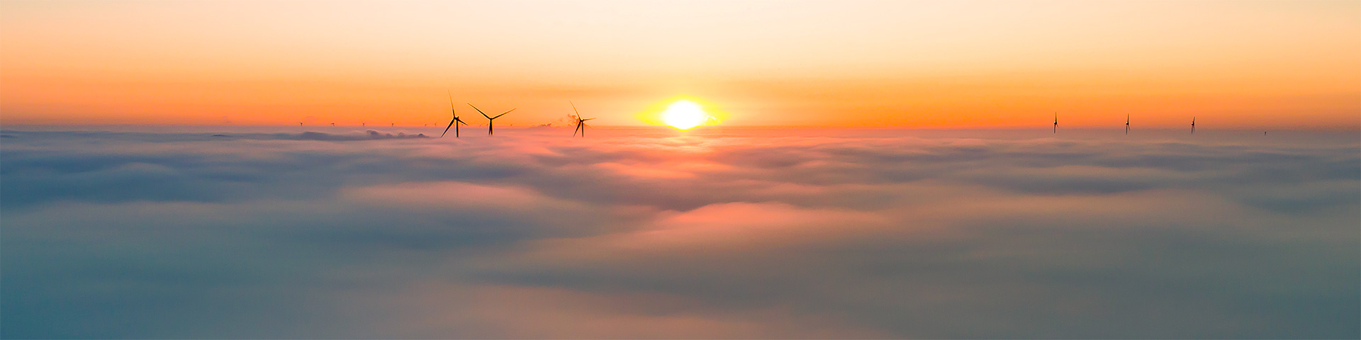 evo��Ѷ��(�й���½)����ƽ̨