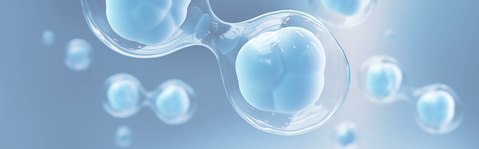 evo��Ѷ��(�й���½)����ƽ̨