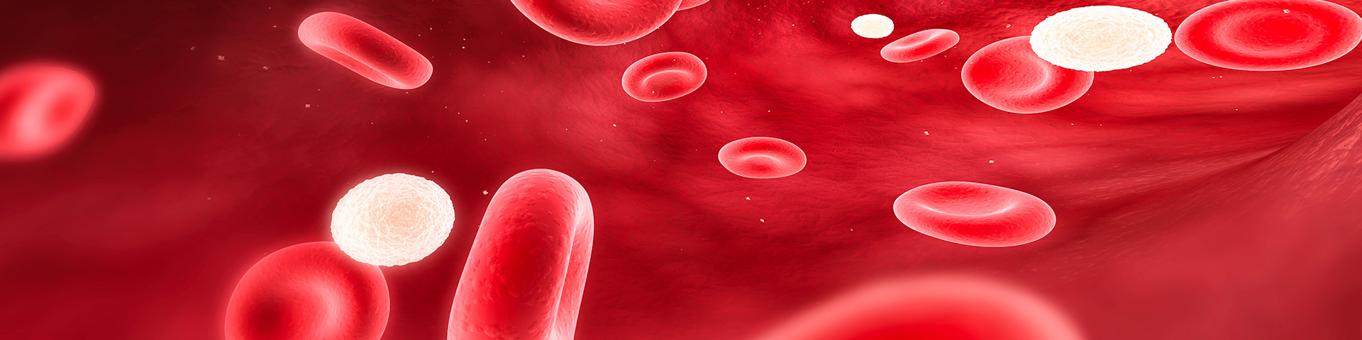 evo��Ѷ��(�й���½)����ƽ̨