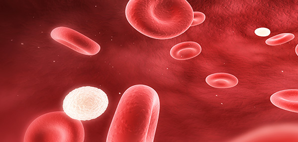 evo��Ѷ��(�й���½)����ƽ̨