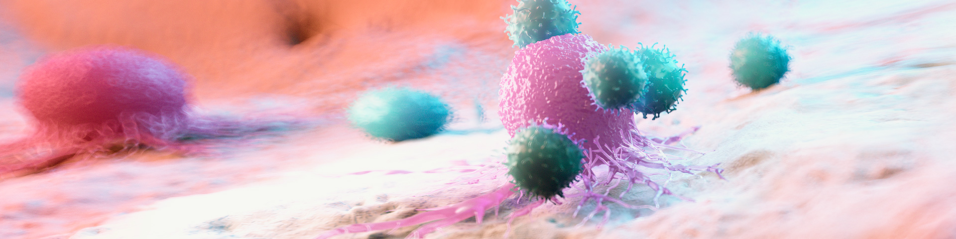 evo��Ѷ��(�й���½)����ƽ̨