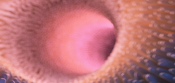 evo��Ѷ��(�й���½)����ƽ̨