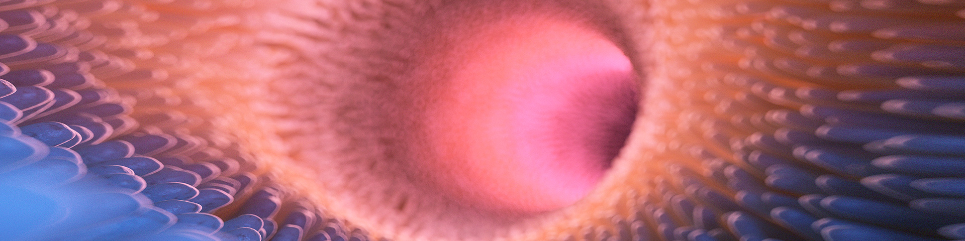 evo��Ѷ��(�й���½)����ƽ̨