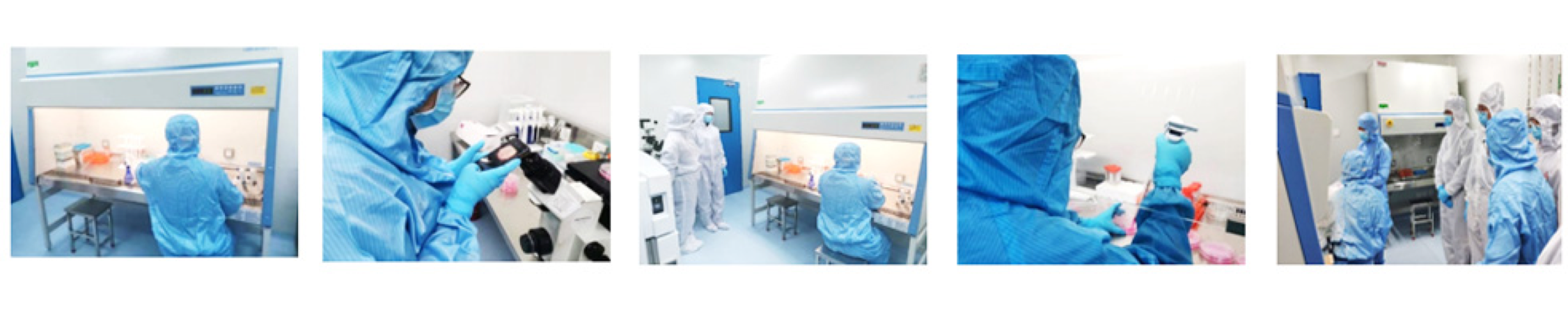 evo��Ѷ��(�й���½)����ƽ̨