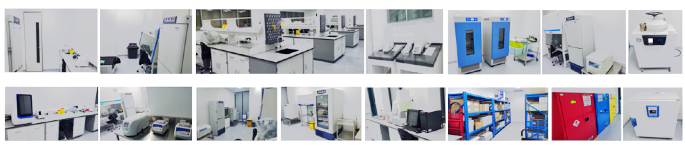 evo��Ѷ��(�й���½)����ƽ̨