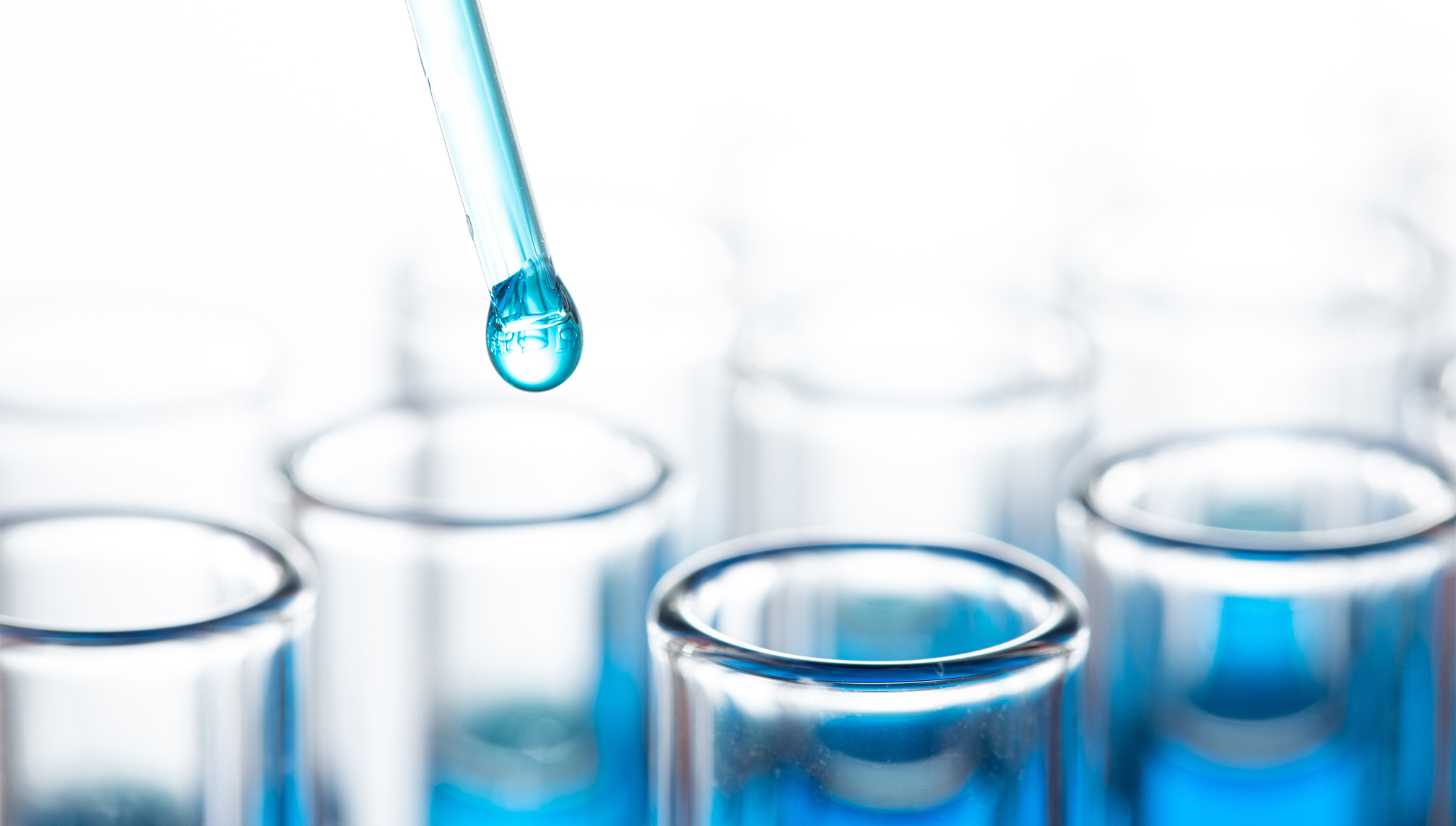 evo��Ѷ��(�й���½)����ƽ̨