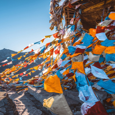 evo��Ѷ��(�й���½)����ƽ̨