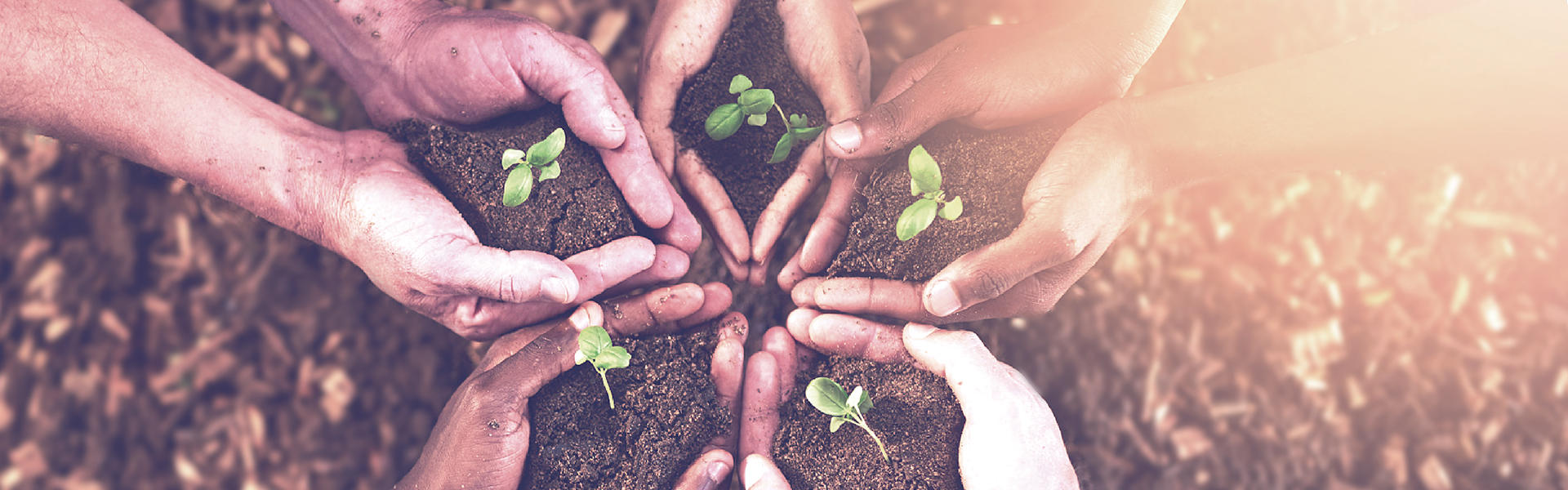 evo��Ѷ��(�й���½)����ƽ̨